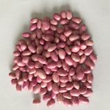 Gina Oturak Fasulye Tohumu 500 Gr