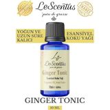 Ginger Tonic Esansiyel Koku Yağı Buhurdanlık difüzör mum sabun hobi esansı Hava nemlendirici Oda Kokusu10ML