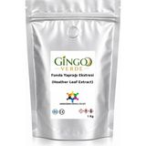 Gingo Funda Yaprağı Ekstresi (Toz) 1 kg