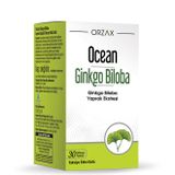 Ginkgo Biloba Kapsül