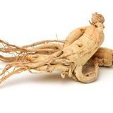 GINSENG