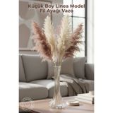 GİNZAMAİSON Küçük Boy Linea Model Fil Ayağı Vazo - 25cm - Şeffaf Dekoratif Vazo