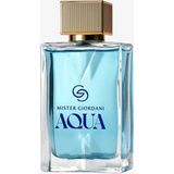Giordani Gold Mister Giordani Aqua Eau De Parfum
