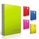 Gıpta 1340 Chromo Spiralli PP Kapak A4 120 Yaprak Çizgili Defter