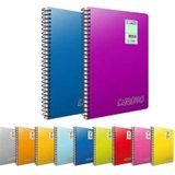 Gıpta 1348 Chromo Spiralli PP Kapak A5 80 Yaprak Kareli Defter