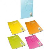 Gıpta 1705 Mica A4 PP Kapak 60 Yaprak Kareli Defter