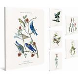 Gıpta 19x26 A4 60 Yaprak Vintage Tel Dikişli Karton Kapaklı Kareli Defter