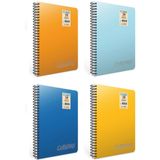 Gıpta 2312 Chromo A5 100 Yaprak Pp Kapak Kareli 4'lü Spiralli Defter