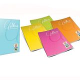 Gıpta 2488 Mica 100 Yaprak Tel Dikişli A4 Çizgili Defter