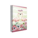 Gıpta 4173 Flamingo Spiralli Karton Kapak 17x24 cm 100 Yaprak Çizgili Defter