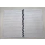 Gıpta 4175 Eco Spiralli Pp. Kapak A4 60 Yp. Çizgili 1 Adet Mavi Defter