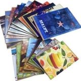Gıpta 4979 Back Tel Dikiş Plastik Kapak A4 40 Yaprak 12'li Çizgili Defter