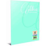 Gıpta 73514 Defter A4 Mıca Pp 60 Yaprak Çizgili Defter
