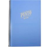 Gıpta A4 100 Yaprak Spiralli Çizgili Defter