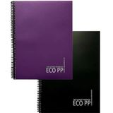 Gıpta Eco PP A4 80 Yaprak Kareli ve Çizgili Seti Defter