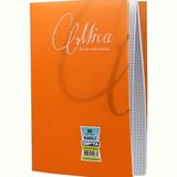 Gıpta Mica 1708 A4 Tel Dikişli PP Kapak 80 Yaprak Kareli Defter