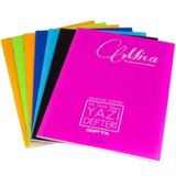 Gıpta Mica Tel Dikişli Plastik Kapak 40 Yaprak Rehber Çizgili Defter