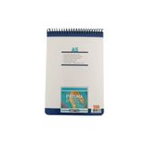 Gıpta Prisma Spiralli Karton Kapak Blok A5 100 Yaprak Düz Defter