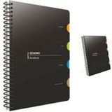 Gıpta Quadro Spiralli 4 Seperatörlü PP Kapak Çizgili Defter