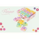 Gıpta Silgi Flower Transıtıon 36 Lı K235900