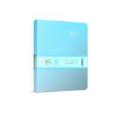 Gıpta The Book Pastel 17x24 160 Yaprak 4 Bölmeli Sert Kapak Defter (3049) Kareli Açık Mavi