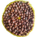 Giresun Kabuklu Fındık Fındık 1 kg