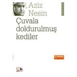 Girişimci Kadın Çuvala Doldurulmuş Kediler