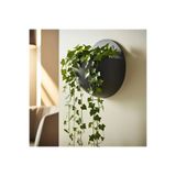 GİT3D DUVARA ASILABİLİR OVAL SAKSI 43REFDV