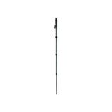 Gitzo GM2541 Monopod