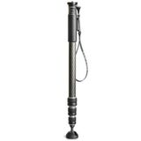 Gitzo GM2542 Monopod