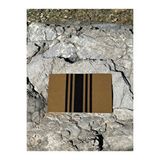 Giz Home Perla 35x60 Bej Siyah Çizgili Koko Paspas Dış Kapı Paspası Kıl Kapı Önü Paspası