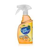 Gizli Bahçe Yeni Nesil Oda Spreyi Kavun 500Ml Pet Şişe