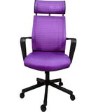 Gizmo Efor Fileli Şef Bilgisayar Ofis Çalışma Koltuğu FK1401 Lila