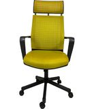 Gizmo Efor Fileli Şef Bilgisayar Ofis Çalışma Koltuğu FK1401 Sarı