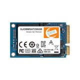 Gjob Gjommsat256gb 256 Gb 520/400 Msata Ssd Disk 1