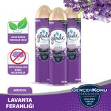 Glade Aerosol Oda Kokusu Lavanta 3 'lü Set