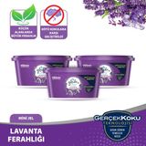Glade Mini Jel Oda Kokusu Lavanta 3 'lü Set