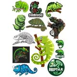 Gladiator Savaşçı Sticker Set-1 21 Parça Telefon, Tablet, Defter, Laptop Sticker