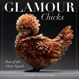 Glamour Chicks 2025 Duvar Takvimi, 16 Aylık Mizah ve Çizgi Roman Takvimi, 30,48 cm x 30,48 cm