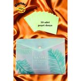 Glanart A4 Boy Çıt Çıt Ödev Dosyası +10\' Lu Poşet Dosya Pastel Renkler Yeşil - 1 Adet
