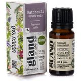 Gland Aromaterapi Patchouli Uçucu Yağı - Pogostemon Cablin 10ml