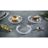 Glassco Kristalize Cam Çerezlik 12 Adet