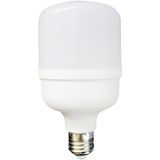 Global K2 KES134 60W 265V E27 6500K Beyaz LED T Ampul