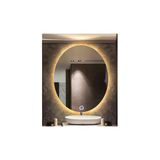 GLOBAL LED MIRROR 50x70 Cm Dokunmatik Tuşlu Elips Ledli Ayna Banyo Aynası Dekoratif Ayna Boy Ayna Salon Duvar Ayna