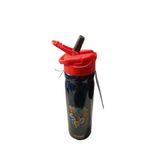 Globox Desenli Çelik Matara 500 Ml 1140,8681137311511