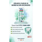 Glonar Nane Mint Diş Pastası 100 Adet Ferahlatıcı Nane Aroması ile Dişlerinizi Beyazlatır