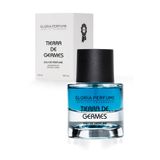Gloria Perfume Tierra De Germes 55 ml EDP Odunsu-Meyvemsi Erkek Parfüm