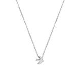 Glorria DT0521 Anka Kuşu Gümüş Kolye