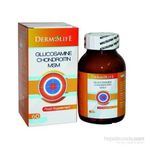 Glucosamine Chondroitin Msm Denizfarma