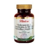 Glukozamin Kondroitin Msm Boswellia Akgünlük Glukosamin Bosvelya 120 Tablet X 1200 Mg